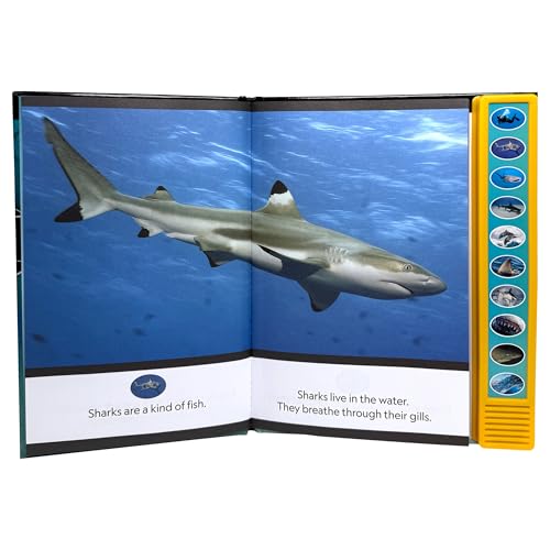 National Geographic Kids - Sharks - I'm Ready to Read Interactive Read-Along Sound Book - Great for Early Readers and Animal Lovers - PI Kids
