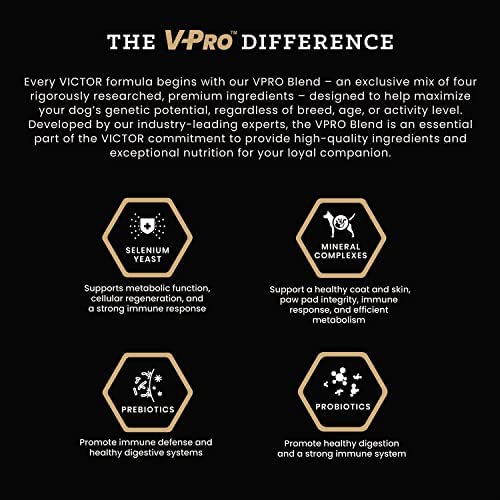 VICTOR Super Premium Dog Food – Purpose – Senior Healthy Weight Management – Dry Dog Food for Adult Dogs – Gluten Free with Glucosamine and Chondroitin, for Hip and Joint Health, 15lbs