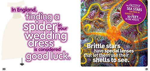 Weird But True! Animals: 300 Outrageous Facts About Wacky Wildlife