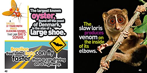 Weird But True! Animals: 300 Outrageous Facts About Wacky Wildlife