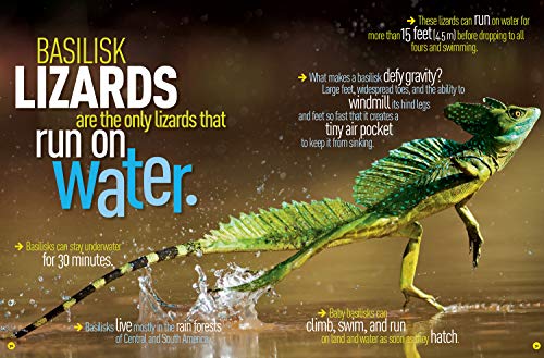 National Geographic Kids Ultimate Weird But True: 1,000 Wild & Wacky Facts & Photos!