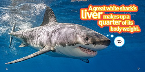 Weird But True! Animals: 300 Outrageous Facts About Wacky Wildlife