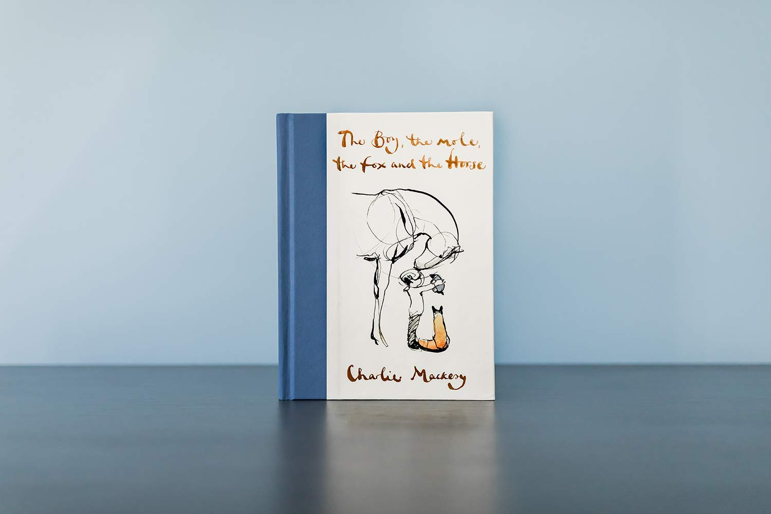 The Boy, the Mole, the Fox and the Horse: Inspiring Conversations on Hope, Love and Personal Growth