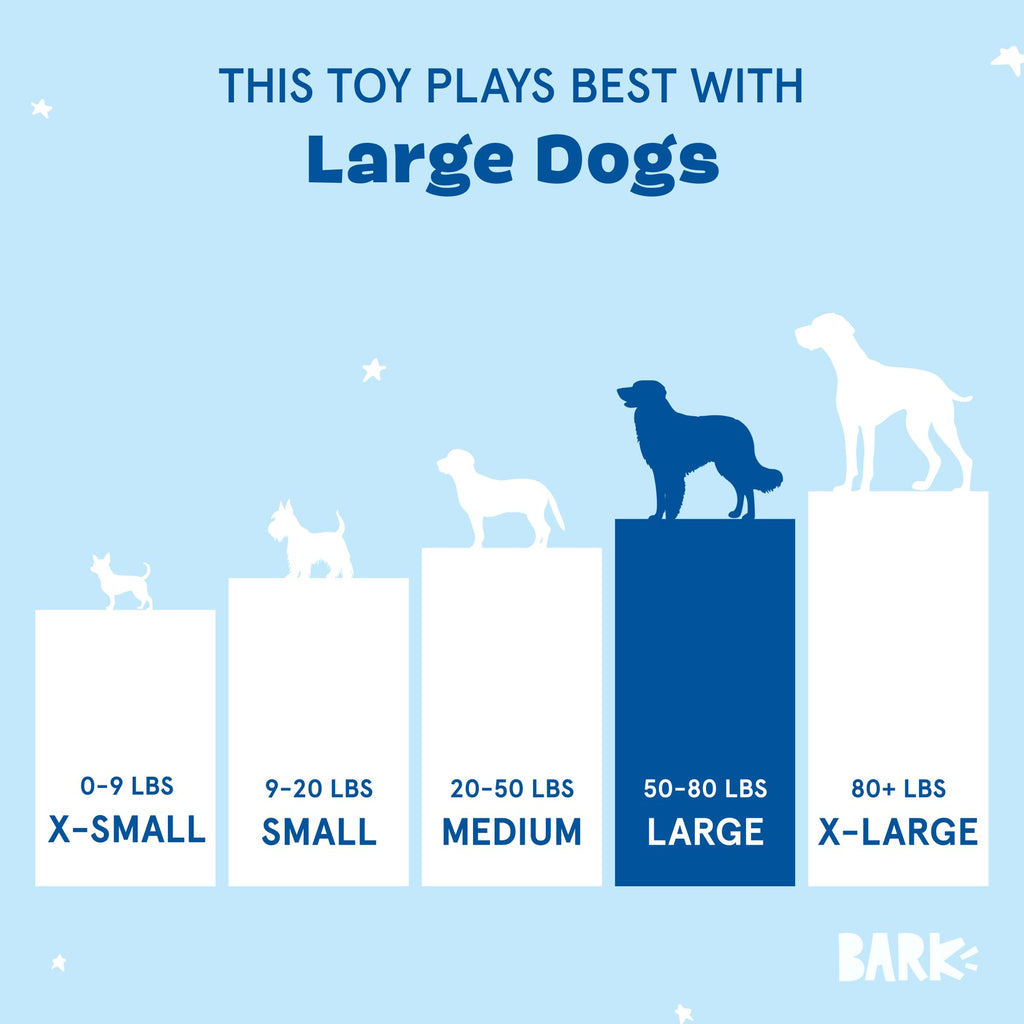 Barkbox Consuela the Cactus 2-in-1 Interactive Plush Dog Toy - Squeaky Dog Chew Toy with Crinkle Layers - for Large Dogs and Puppies