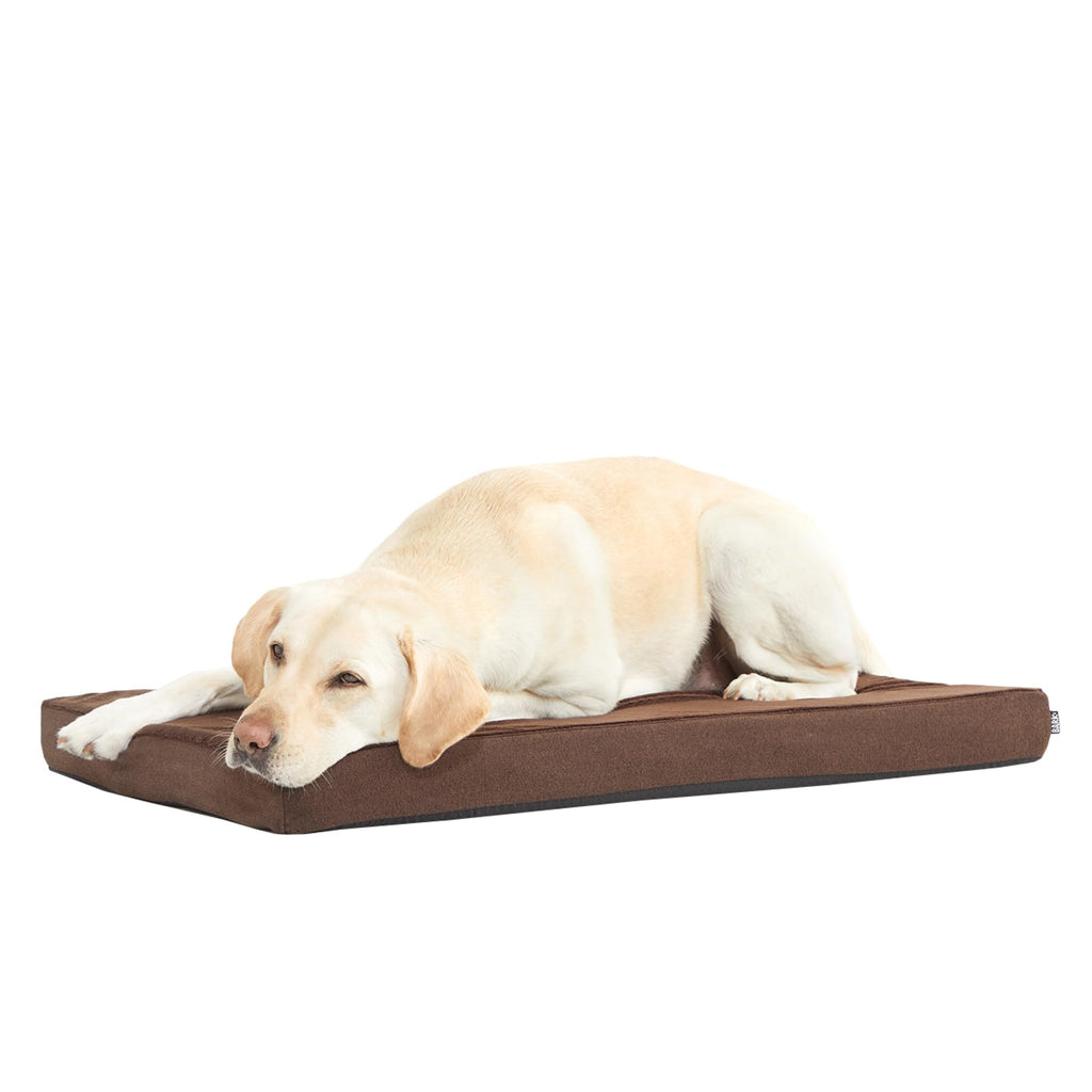 Barkbox Orthopedic Dog Bed with Memory Foam, Premium Comfort for Dogs and Puppies, Dog Bed for Joint Relief and Restful Sleep, Durable and Easy to Clean - Espresso, Large
