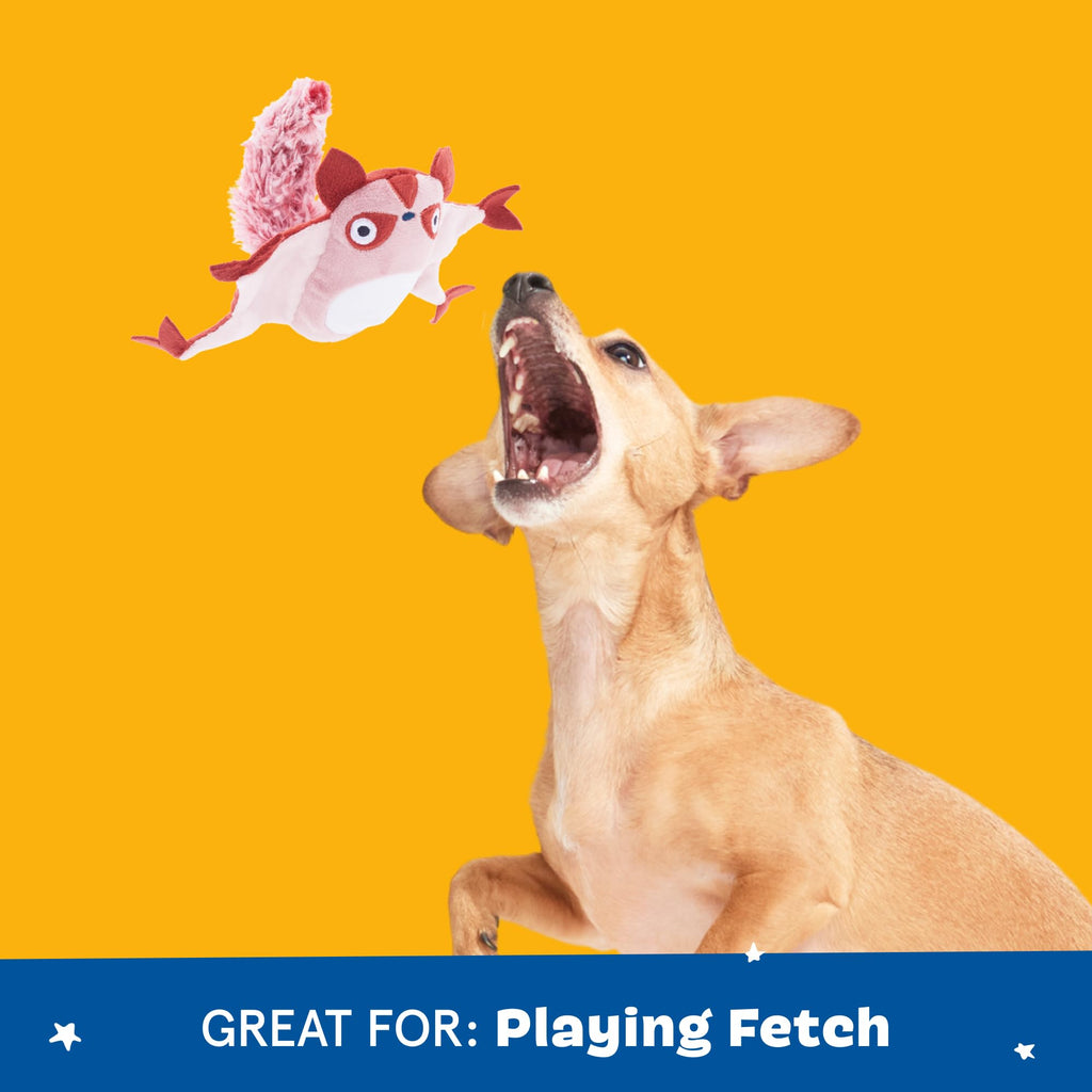 Barkbox Sheila Sugar Glidah Plush Toy for X-Small Dogs – 2-in-1 Squeaky & Crazy Crinkle Fun – Perfect for Fetch, Tug, and Interactive Playtime
