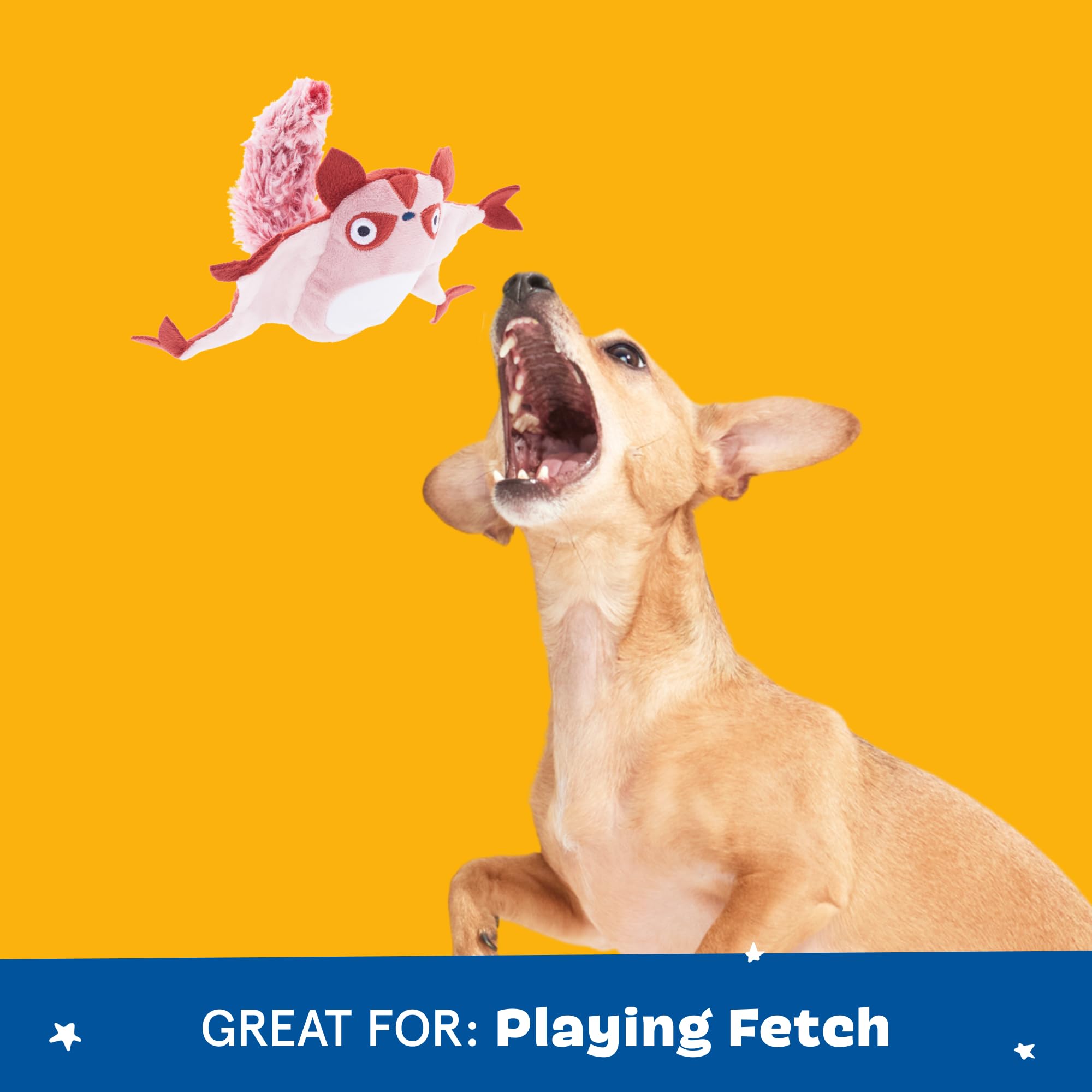 Barkbox Sheila Sugar Glidah Plush Toy for X-Small Dogs – 2-in-1 Squeaky & Crazy Crinkle Fun – Perfect for Fetch, Tug, and Interactive Playtime