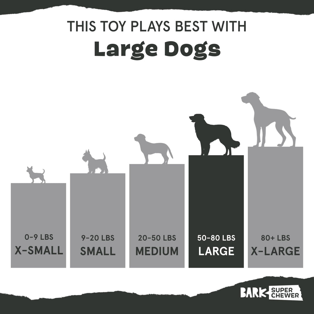 Barkbox Acornucopia Treat Dispensing Indoor/Outdoor Chewer Toy, Large