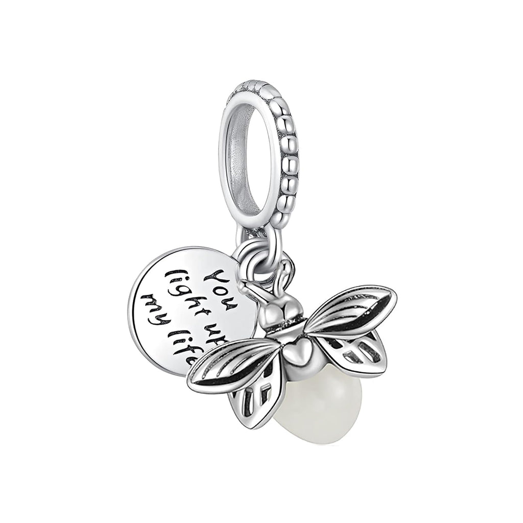 WANIUS 10 Pack Silver Charms for Pandora Bracelets and Necklaces Charms for Women CZ Pendant Jewelry Charm Set (Style 02)