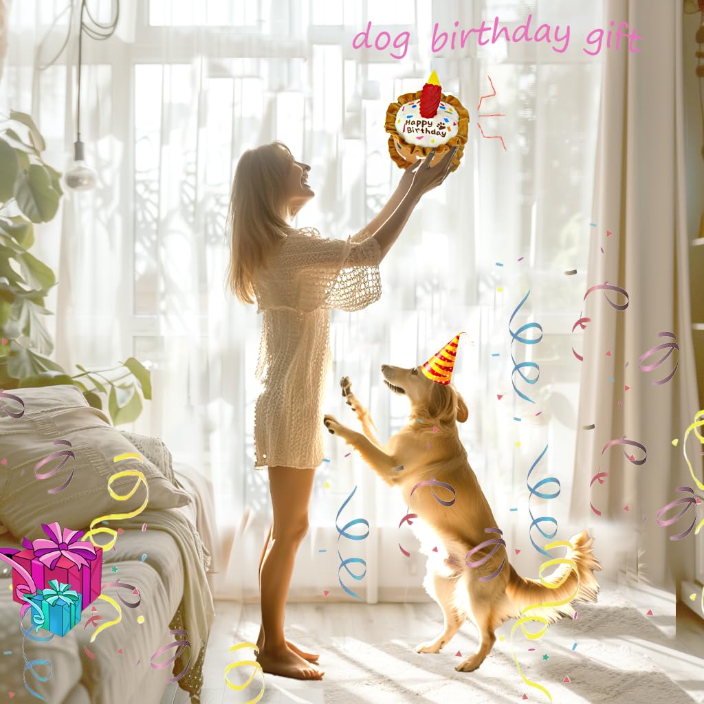 CneeeeeB Birthday Dog Toys Crinkle Dog Toy Squeak Cake Toy Aggressive chew Toys for Puppy Sandwiches Pizza Party Dog Toy Interactive Birthday Toy with 3 Pack for Dog Birthday