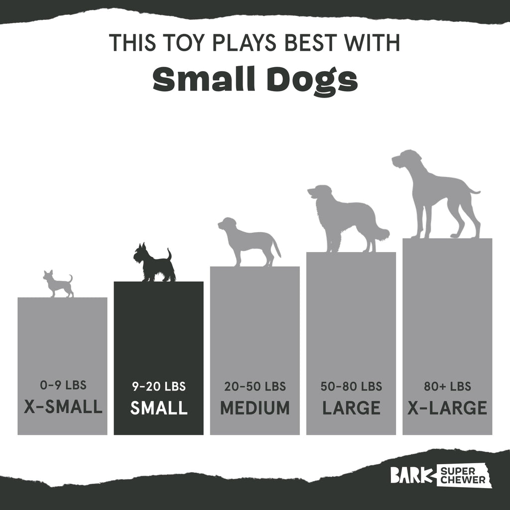 Barkbox Super Chewer Tough Dog Chew Toys for Aggressive Chewers, Dental Stimulating (Bacon Bone - Small)