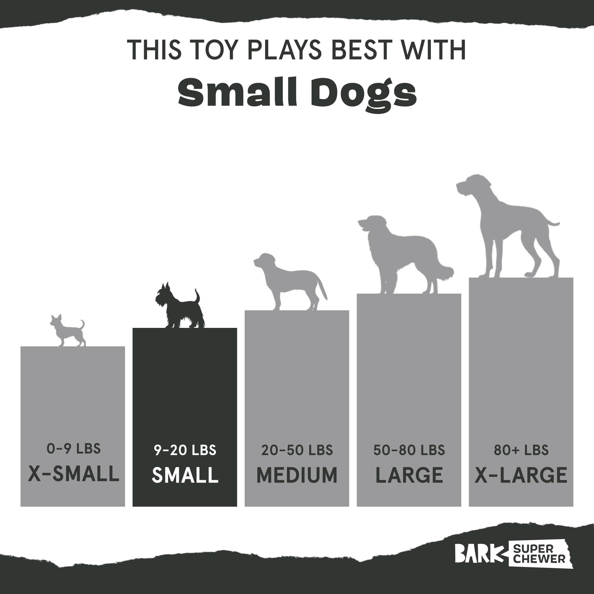 Barkbox Super Chewer Tough Dog Chew Toys for Aggressive Chewers, Dental Stimulating (Bacon Bone - Small)