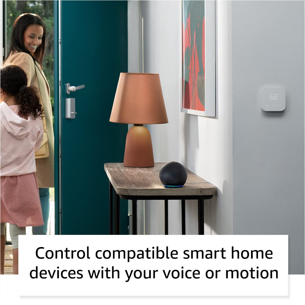 Echo Dot with Legrand Radiant Smart Plug