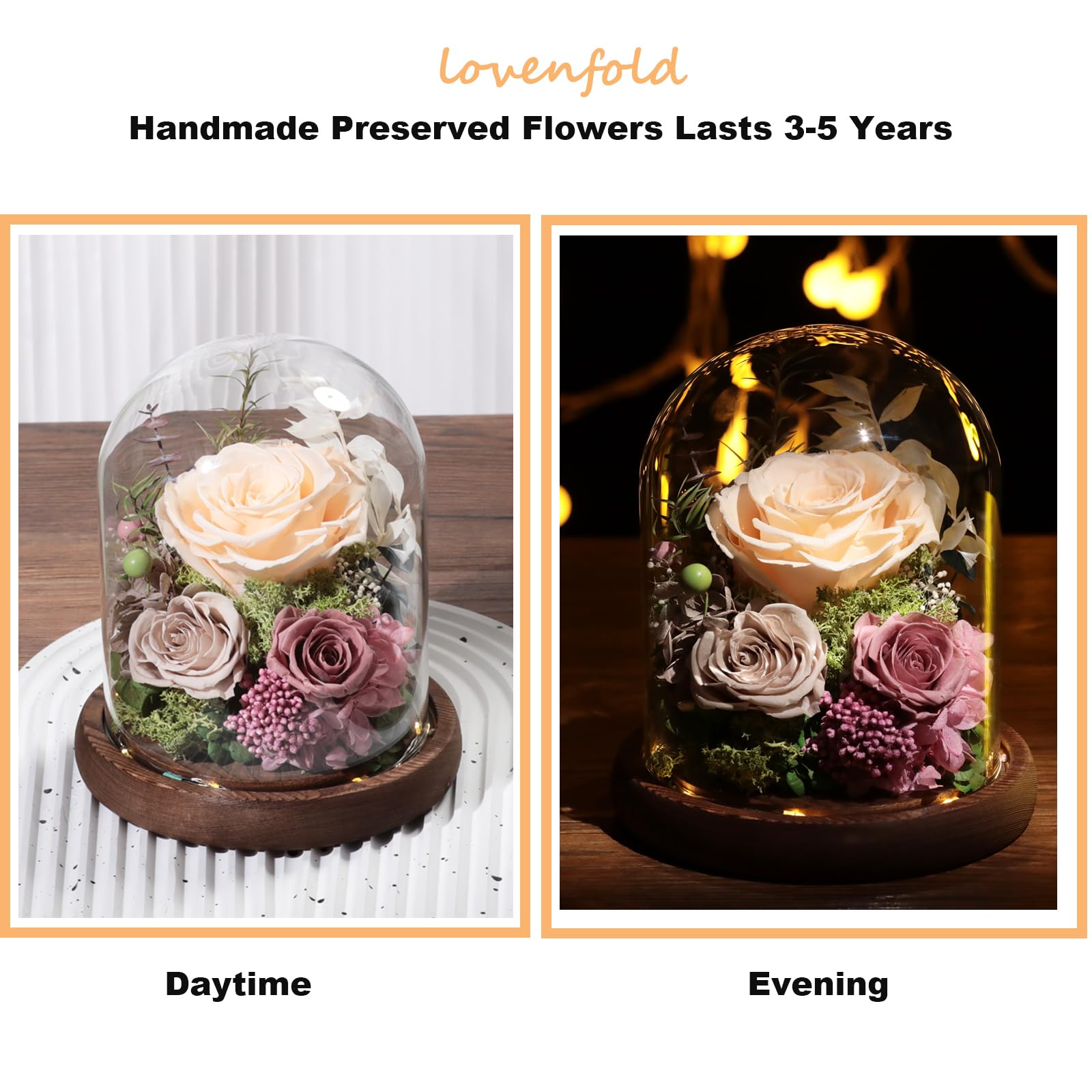 lovenfold Flowers for Delivery Preserved Rose Gifts for Her,Forever Roses Flowers in Glass Dome,Birthday Gifts for Women Mom Wife Friend(Champagne Rose)