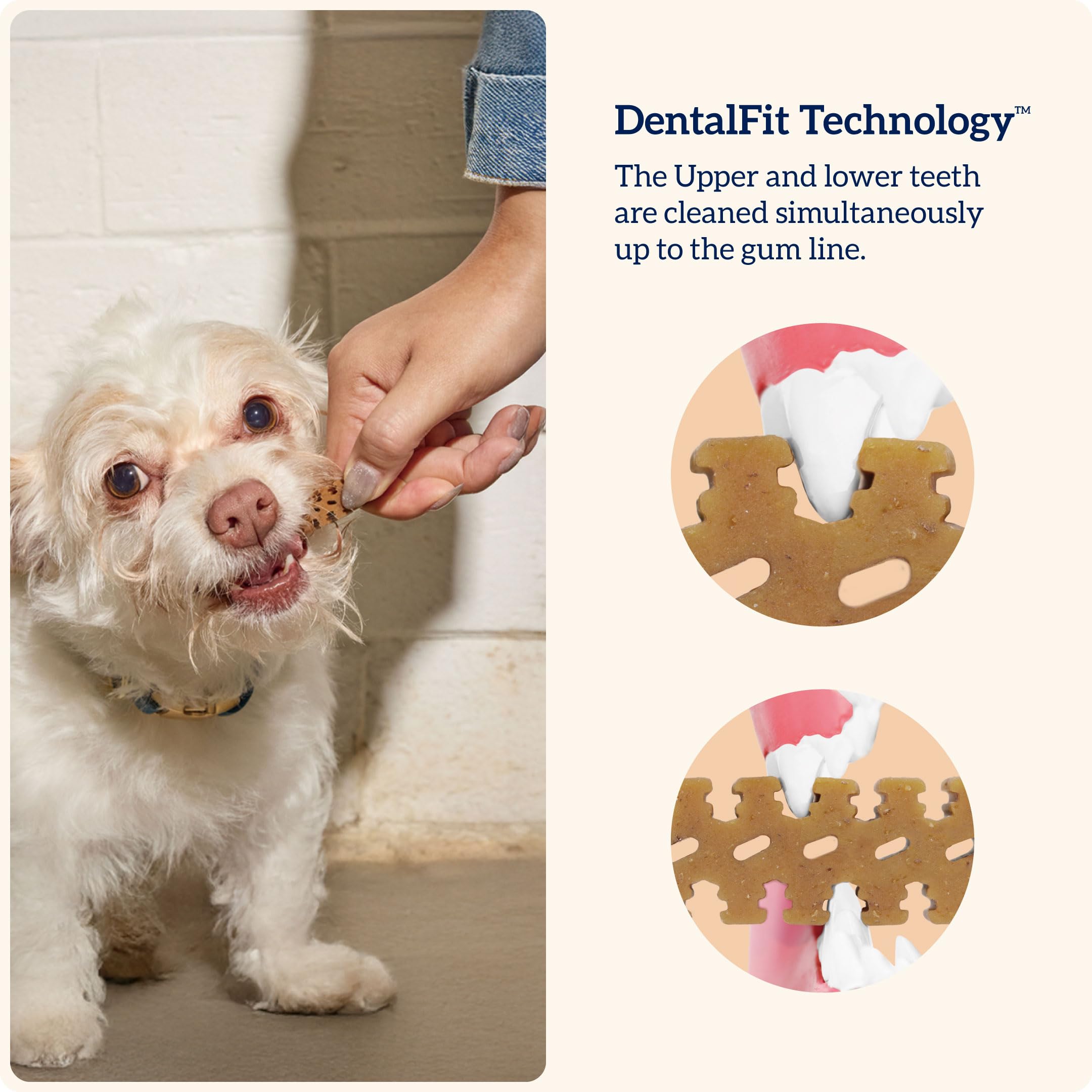 Groovies Gentle & Flexible Senior Dog Dental Chews, Contact-Cleaning Design Supporting Tartar Control & Fresh Breath, Oral Care Treats, USA Manufactured, Patented DentalFit Tech, XLarge Dogs, 4 Chews