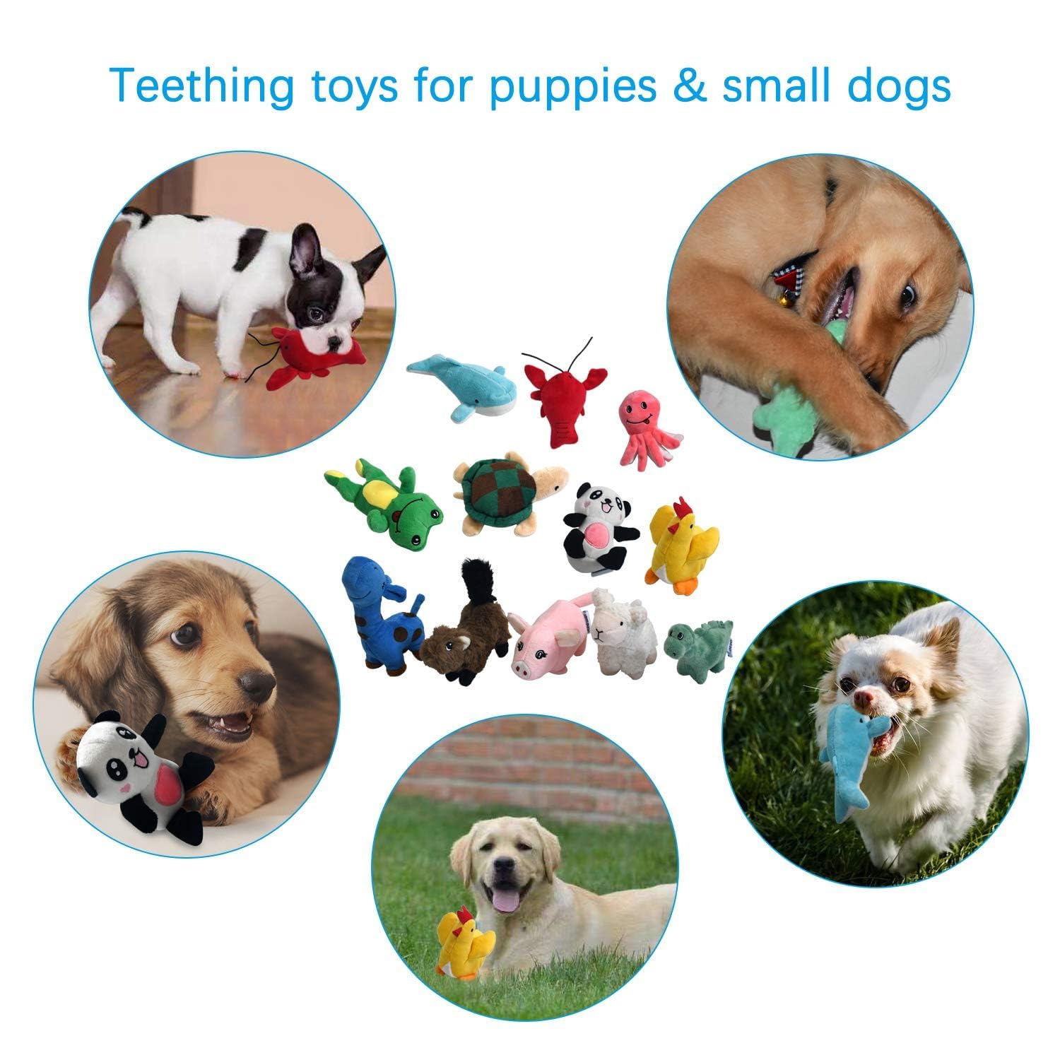 LEGEND SANDY Squeaky Plush Dog Toy Pack for Puppy, Small Stuffed Puppy Chew Toys 12 Dog Toys Bulk with Squeakers, Cute Soft Pet Toy for Small Medium Size Dogs