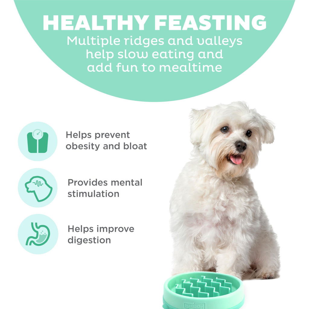 Outward Hound Fun Feeder Slo Bowl – Small 3/4-Cup Capacity, Slow Feeding, Small Dogs, Puppies & Cats, Non-Slip, Mint, Wave Pattern