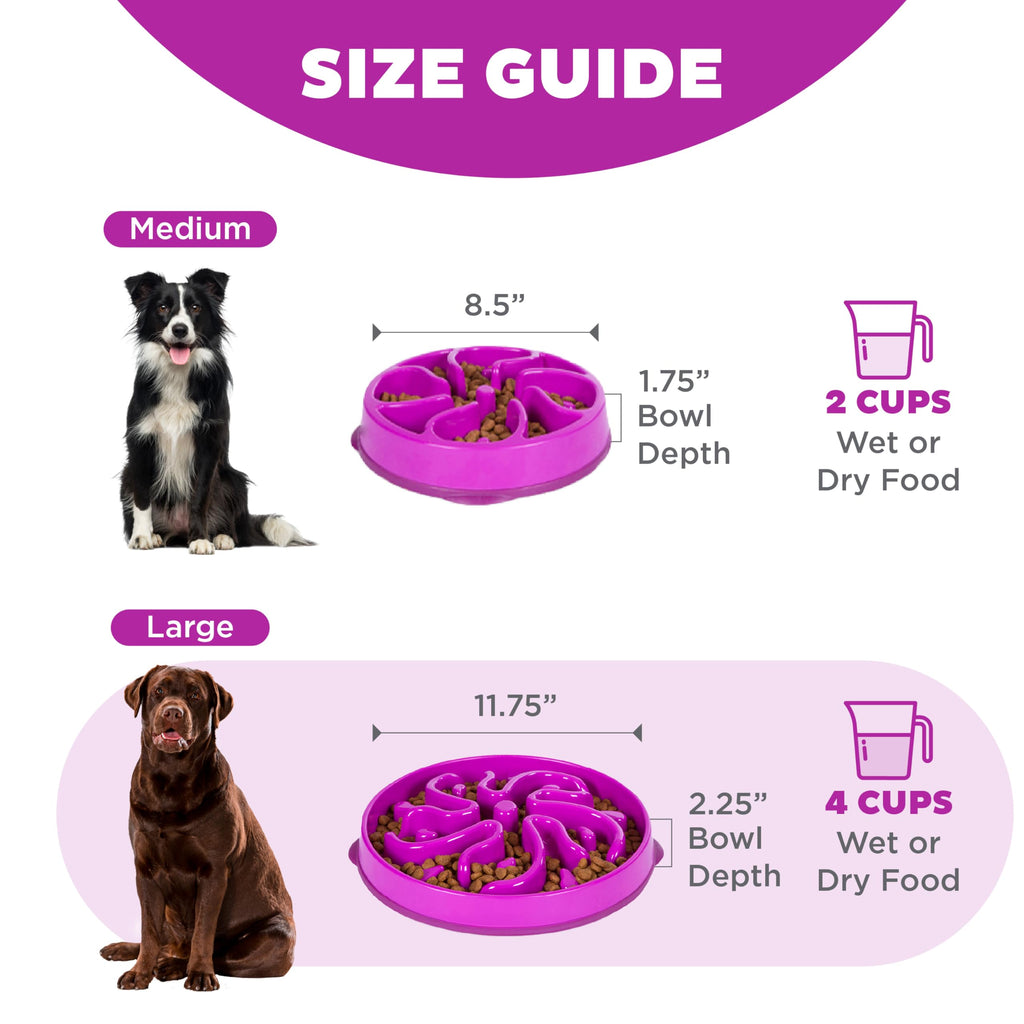 Outward Hound Fun Feeder Slo Bowl – Large 4‑Cup Capacity, Slow Feeding, Medium to Large Dogs, Non‑Slip, Purple, Flower Pattern