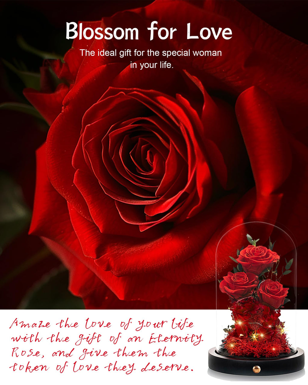 Agrul Valentines Day Flowers Roses Gifts for Her,Forever Real Preserved Roses in Glass Dome,Valentines Day Anniversary Birthday Gifts for Wife Girlfriend Women Mom Best Friend Her/Red Rose