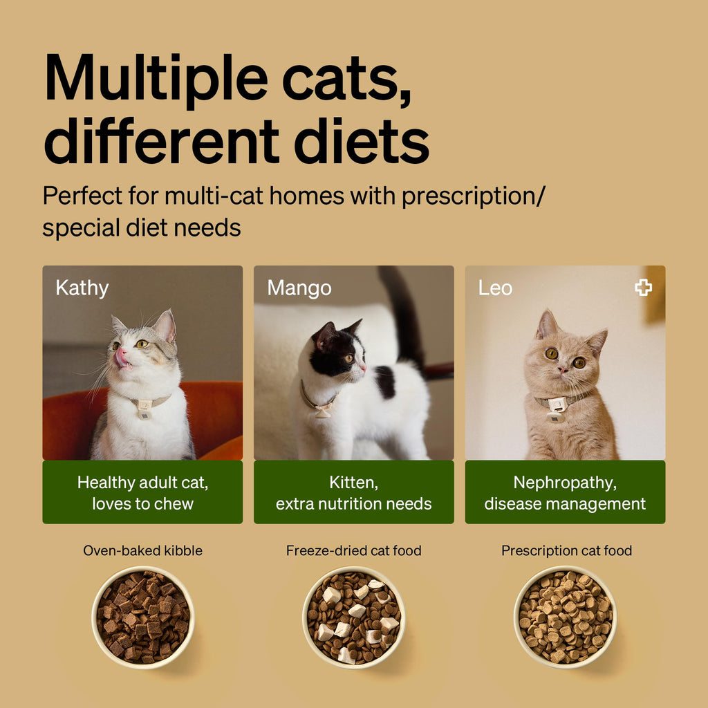 PETLIBRO RFID Automatic Cat Feeder, Collar Tag-Activated Personalized Meals, 5G&2.4G Wi-Fi Programmable Cat Food Dispenser with Cats Recognition & Diet Tracking for Multi-Pet Homes and Different Diets