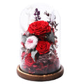 lovenfold Flowers for Delivery Preserved flowers Rose in Glass Dome,Red Rose Forever Flowers Birthday Gifts for Women Mom Grandma Friend Valentines Gifts,Home Decor