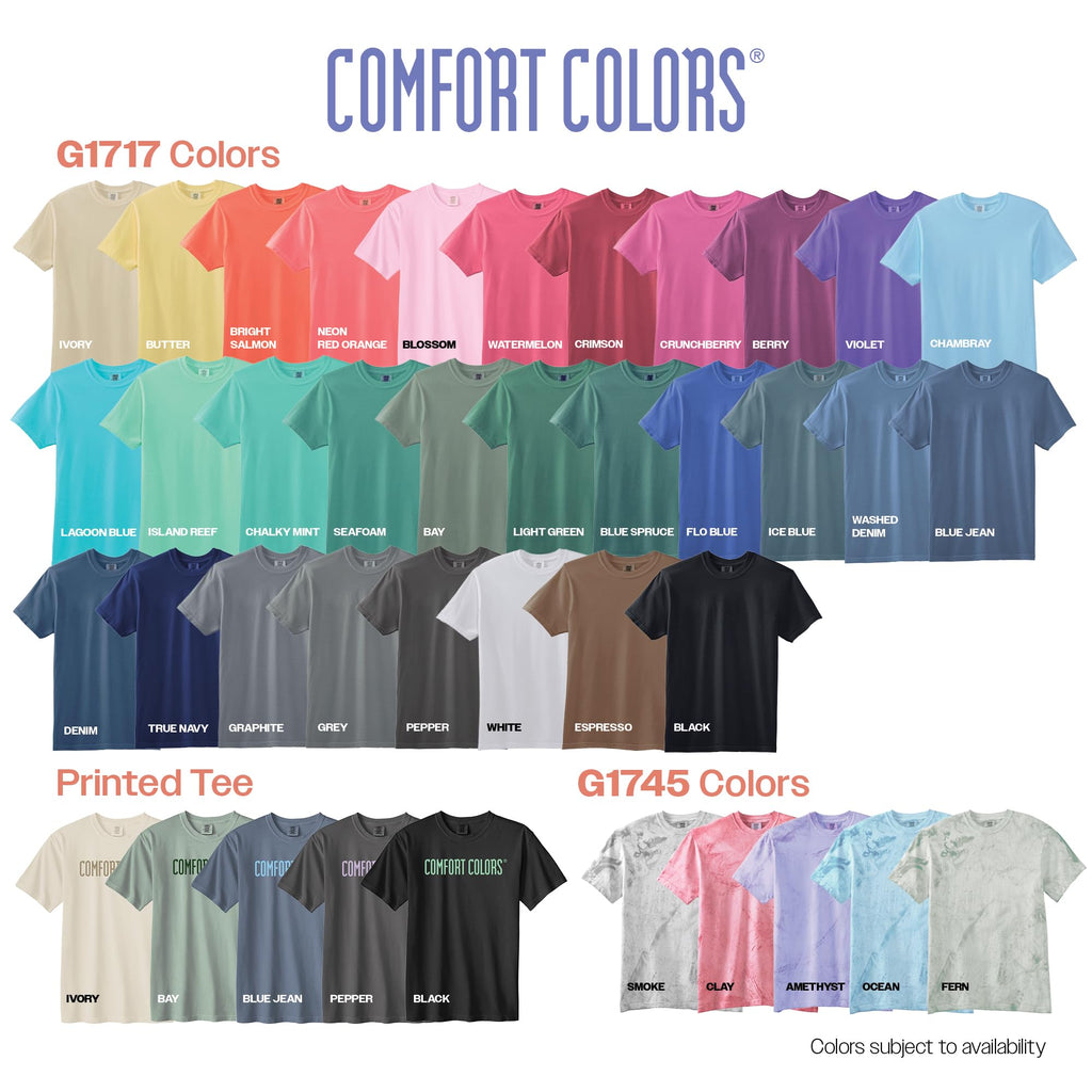 Comfort Colors Adult Heavyweight Short Sleeve Tee, Style G1717/G1745, Blue Spruce (2-Pack), X-Large