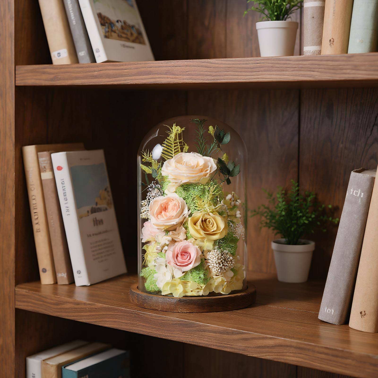 lovenfold Flowers for Delivery Preserved Flowers Rose in Glass Dome,Champagne Rose Forever Flowers Birthday Gifts for Women Mom Grandma Friend Gifts for Her,Home Decor