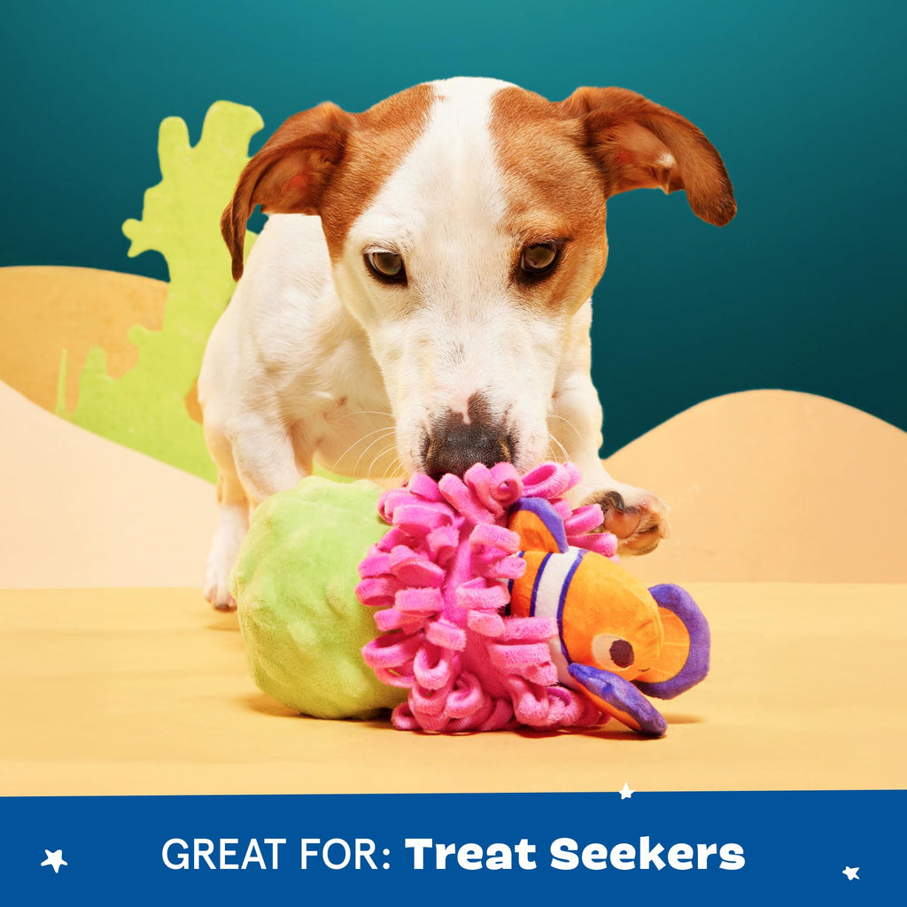 Barkbox Clown Fishing Around Plush Toy for Small Dogs – 2-Part Squeaky Toy with Treat-Hiding Fun – Perfect for Interactive Play and Mental Stimulation
