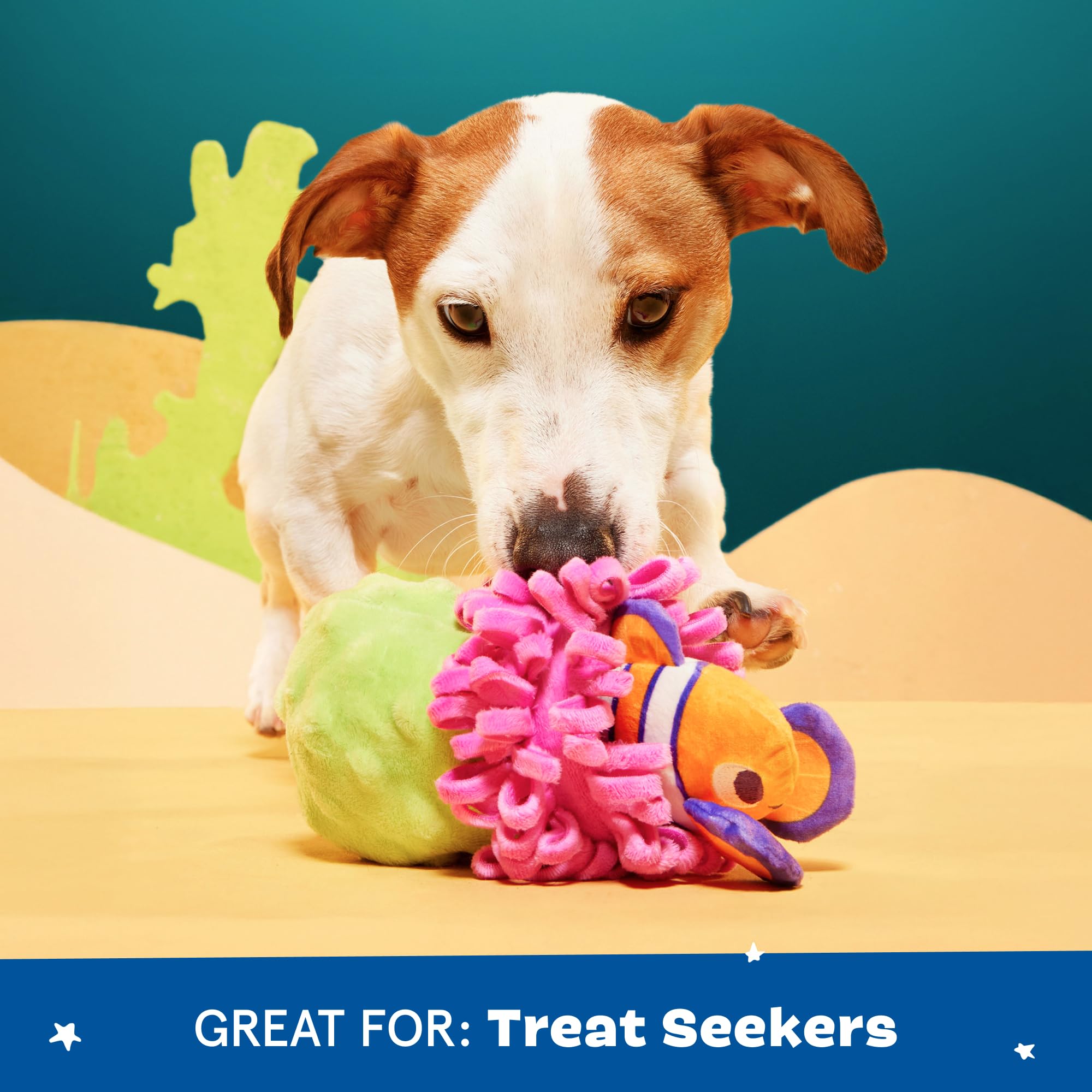Barkbox Clown Fishing Around Plush Toy for Small Dogs – 2-Part Squeaky Toy with Treat-Hiding Fun – Perfect for Interactive Play and Mental Stimulation