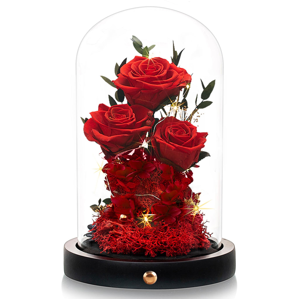 Agrul Valentines Day Flowers Roses Gifts for Her,Forever Real Preserved Roses in Glass Dome,Valentines Day Anniversary Birthday Gifts for Wife Girlfriend Women Mom Best Friend Her/Red Rose