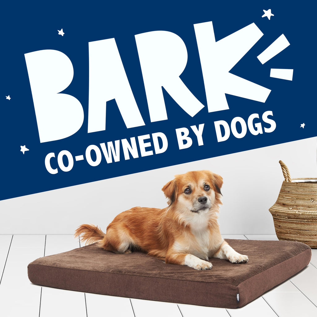 Barkbox Orthopedic Dog Bed with Memory Foam, Premium Comfort for Dogs and Puppies, Dog Bed for Joint Relief and Restful Sleep, Durable and Easy to Clean - Espresso, Large