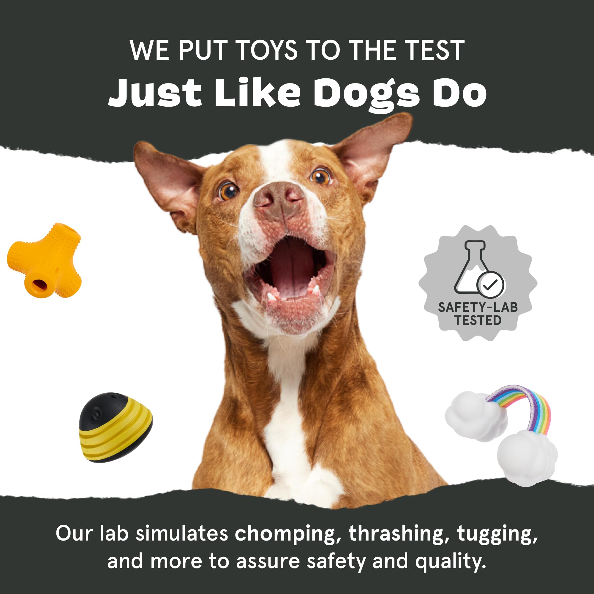 Barkbox Potato 2-in-1 Dog Toy - Tough Plush Squeaky Chew Toy for Large Dogs | Large