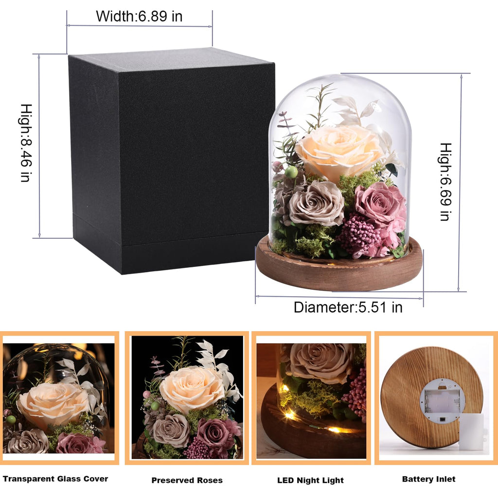 lovenfold Flowers for Delivery Preserved Rose Gifts for Her,Forever Roses Flowers in Glass Dome,Birthday Gifts for Women Mom Wife Friend(Champagne Rose)