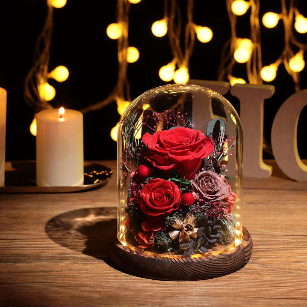 Lovenfold Flowers for Delivery Preserved Rose Gifts for Her,Long-Lasting Forever Flowers in Glass Dome,Birthday Gifts for Women Mom Wife Friend(Red Rose)
