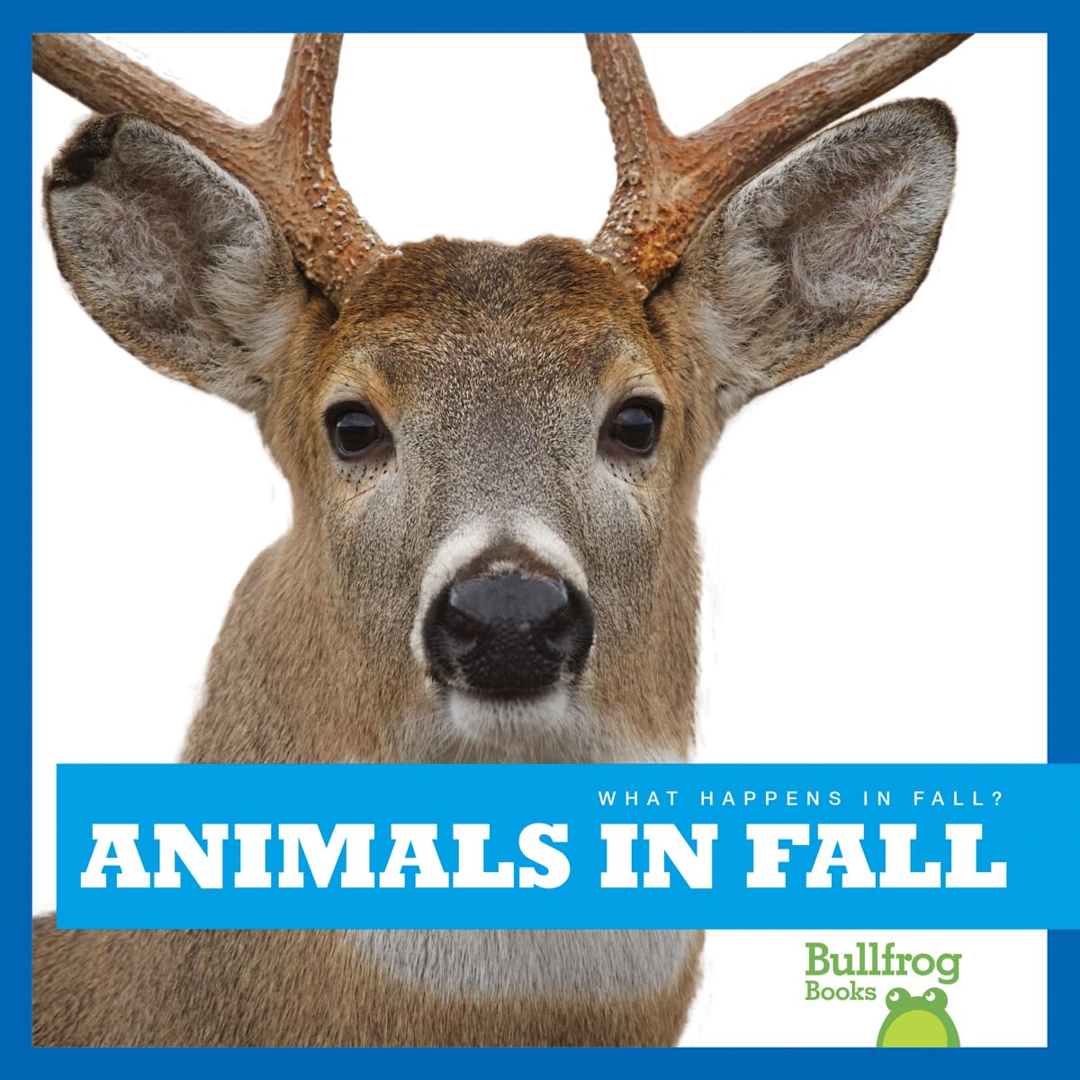 Animals in Fall (Bullfrog Books: What Happens in Fall?)