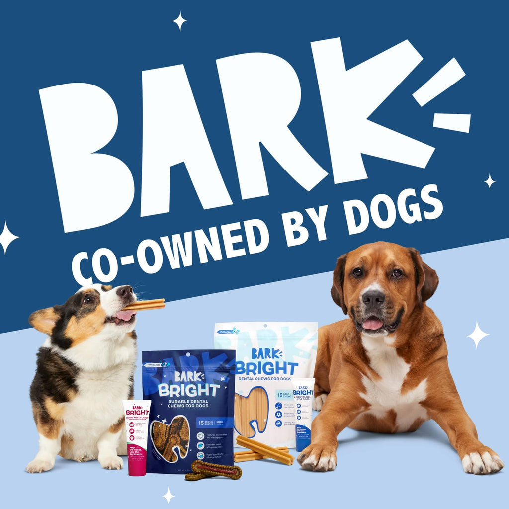 Barkbox Bright Original Dog Dental Chew Sticks, Plaque and Tartar Cleaning - Small Breeds (30 Chews)