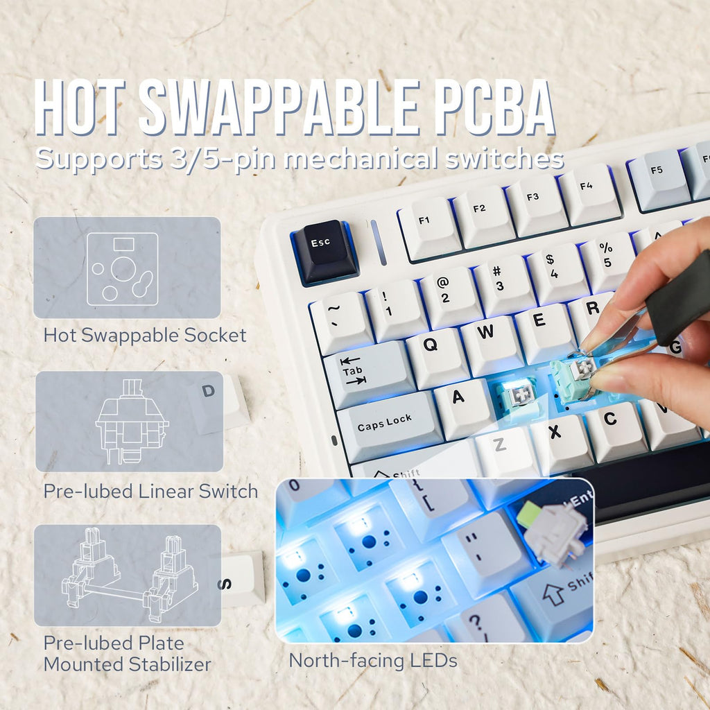 EPOMAKER x Aula F75 Gasket Mechanical Keyboard, 75% Wireless Hot Swappable Gaming Keyboard with Five-Layer Padding&Knob, BT/2.4GHz/USB-C, RGB (Light Blue, LEOBOG Reaper Switch)
