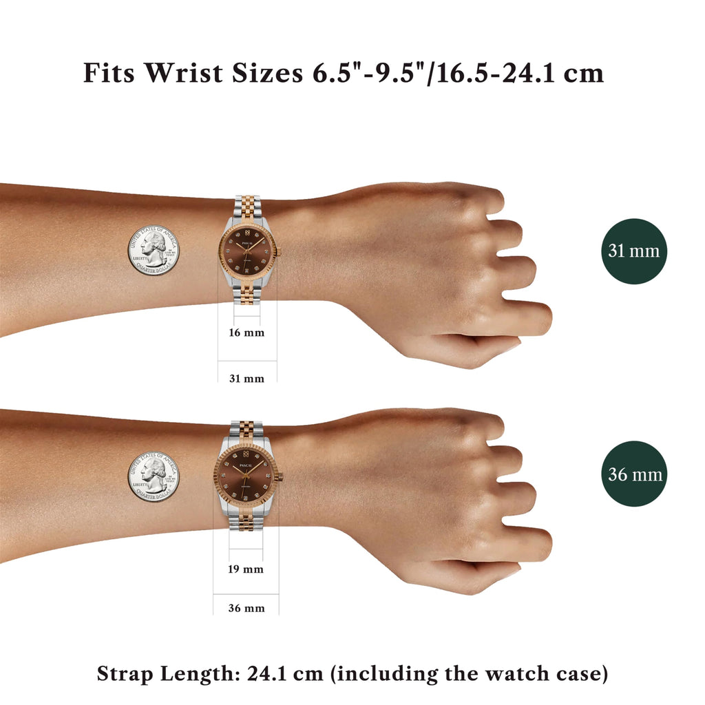 PASCAL Women's Timeless Classic Diamond Watch – Swiss Quartz Watch with Lab-Grown Diamonds, Sapphire Crystal, Elegant Dress Watch Gift,10 ATM Water Resistant, Fits 6.5"-9.5" Wrists (Brown, 31mm)