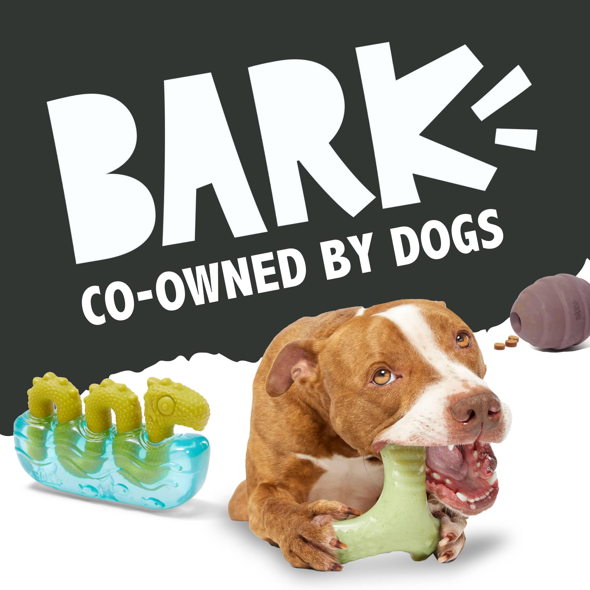 Barkbox Turkey Barker Dog Toy for Large Aggressive Chewers, Turkey-Scented Rip & Reveal Toy for Engaging and Durable Playtime