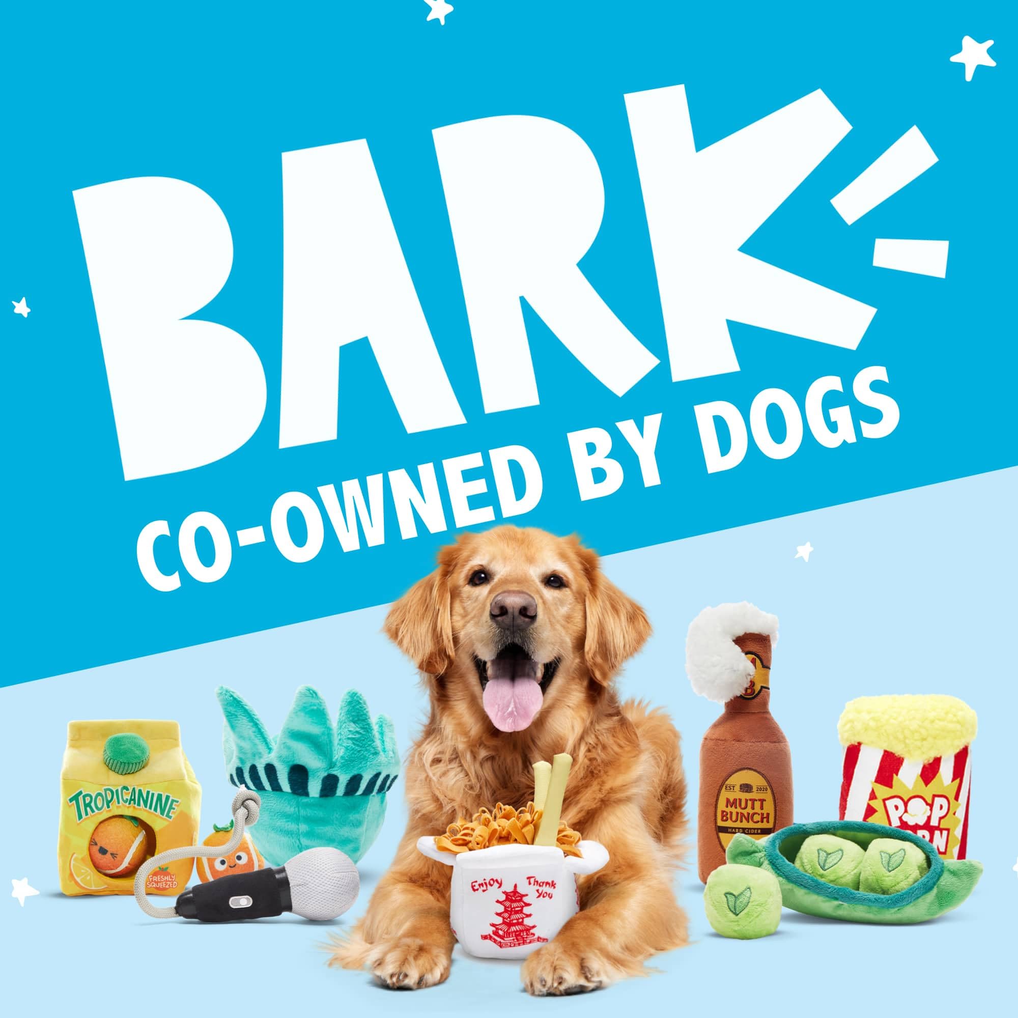 Barkbox Clown Fishing Around Plush Toy for Small Dogs – 2-Part Squeaky Toy with Treat-Hiding Fun – Perfect for Interactive Play and Mental Stimulation