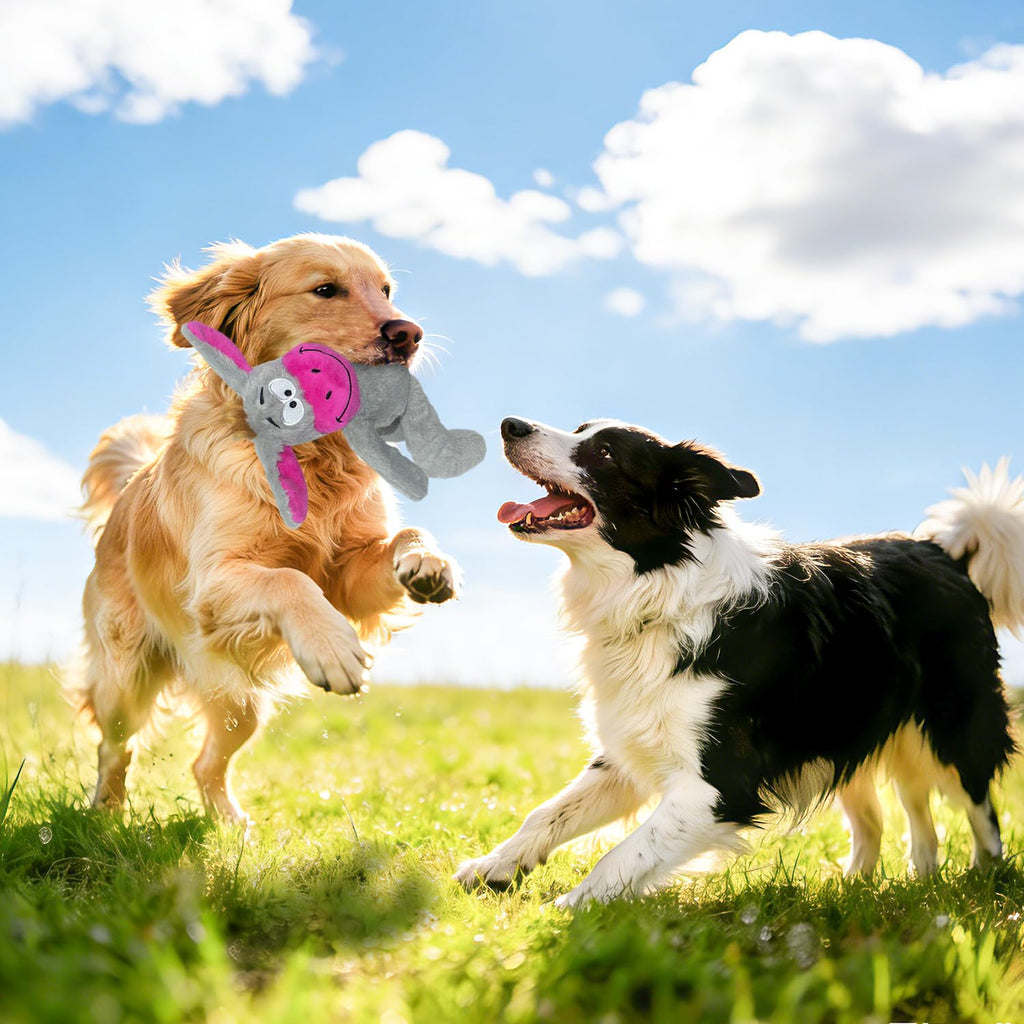 LSSYYQQ Squeak Dog Toys,Plush Chew Toys for Large Dogs, Crinkle Stuffed Animal Tail,Hands,Ears,Squeaky Interactive Toys for Small Medium Dogs,Keep Them Busy,not for Aggressive chew Dogs