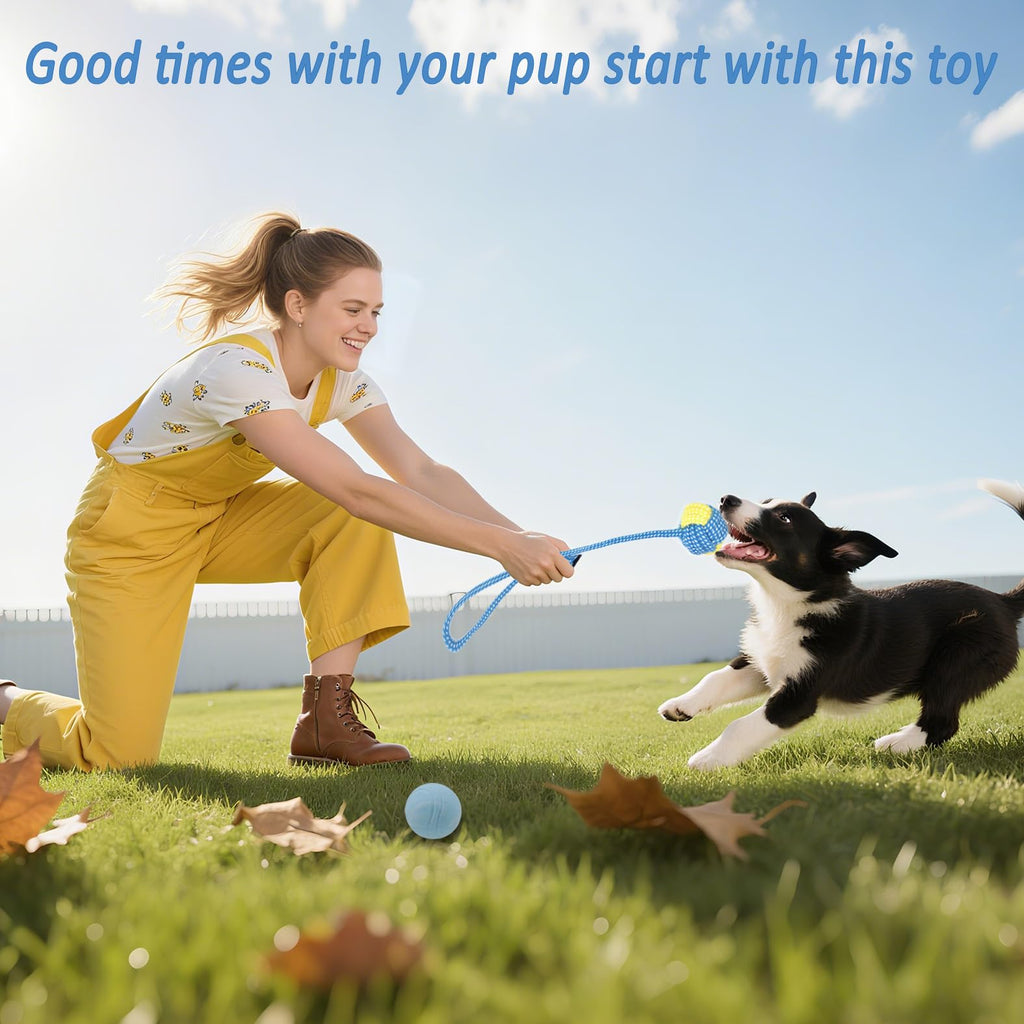 Beiker 20 Pack Puppy Chew Toys - Blue Dog Teething Toys for Puppies, Puppy Teething Rings and Ropes, Rubber Toy Bundle for Small Dogs, Cute Interactive Dog Balls for Small Breed