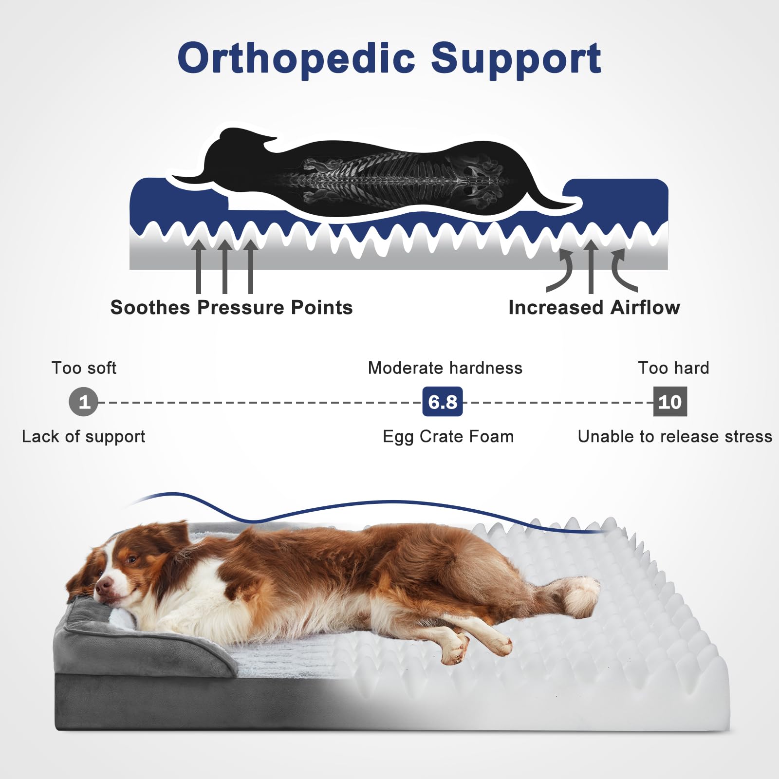 FURTIME Orthopedic Dog Beds Large Sized Dog, XL Washable Dog Sofa Bed for Large Dogs, Comfy Supportive Egg-Crate Foam Pet Couch Bed with Removable Cover, Waterproof Lining and Nonskid Bottom
