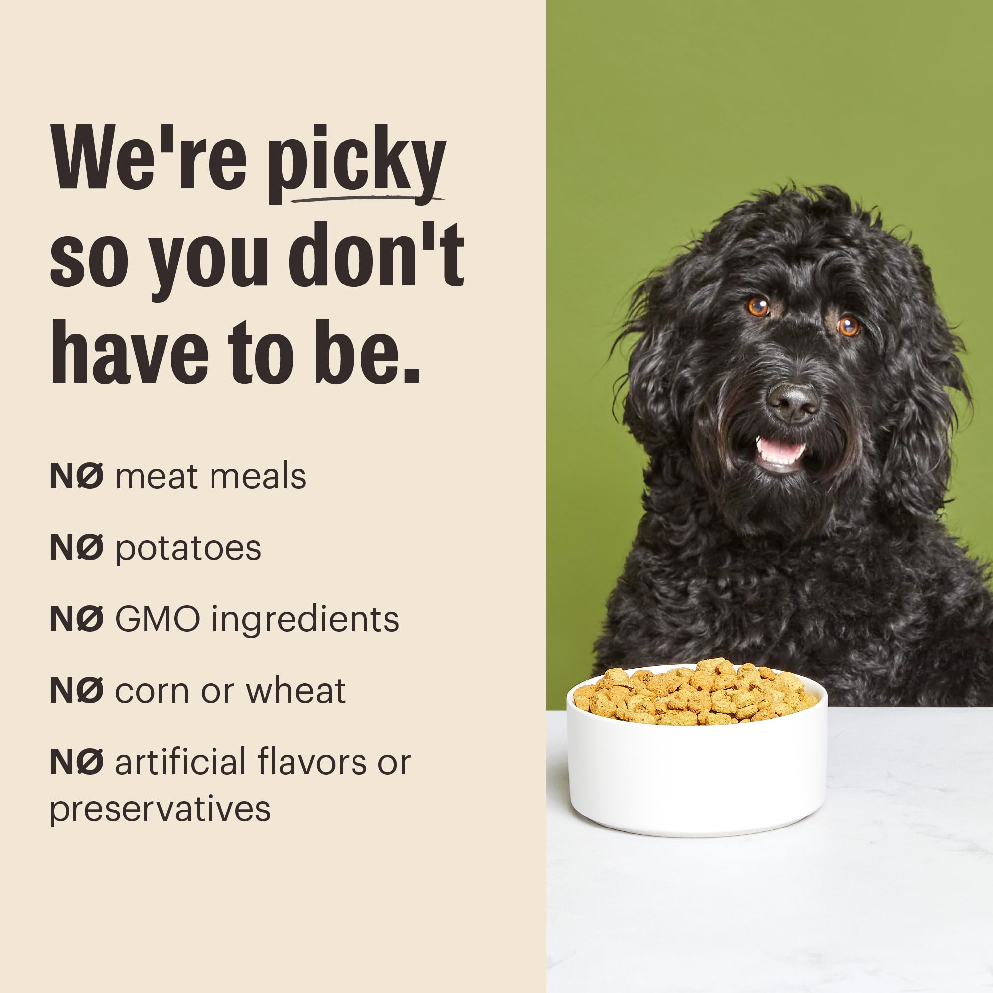 The Honest Kitchen Human Grade Essential Clusters Dry Dog Food, Whole Grain Chicken 20 lb Bag