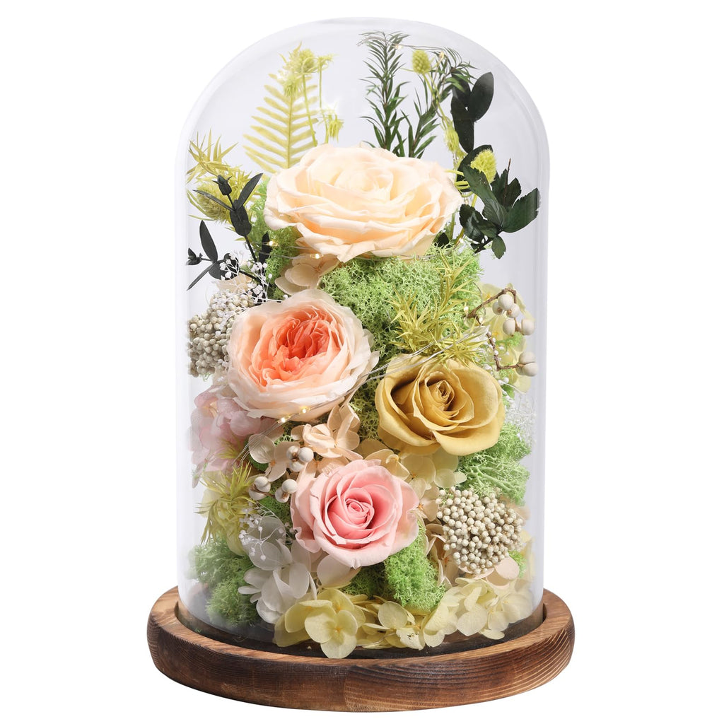 lovenfold Flowers for Delivery Preserved Flowers Rose in Glass Dome,Champagne Rose Forever Flowers Birthday Gifts for Women Mom Grandma Friend Gifts for Her,Home Decor