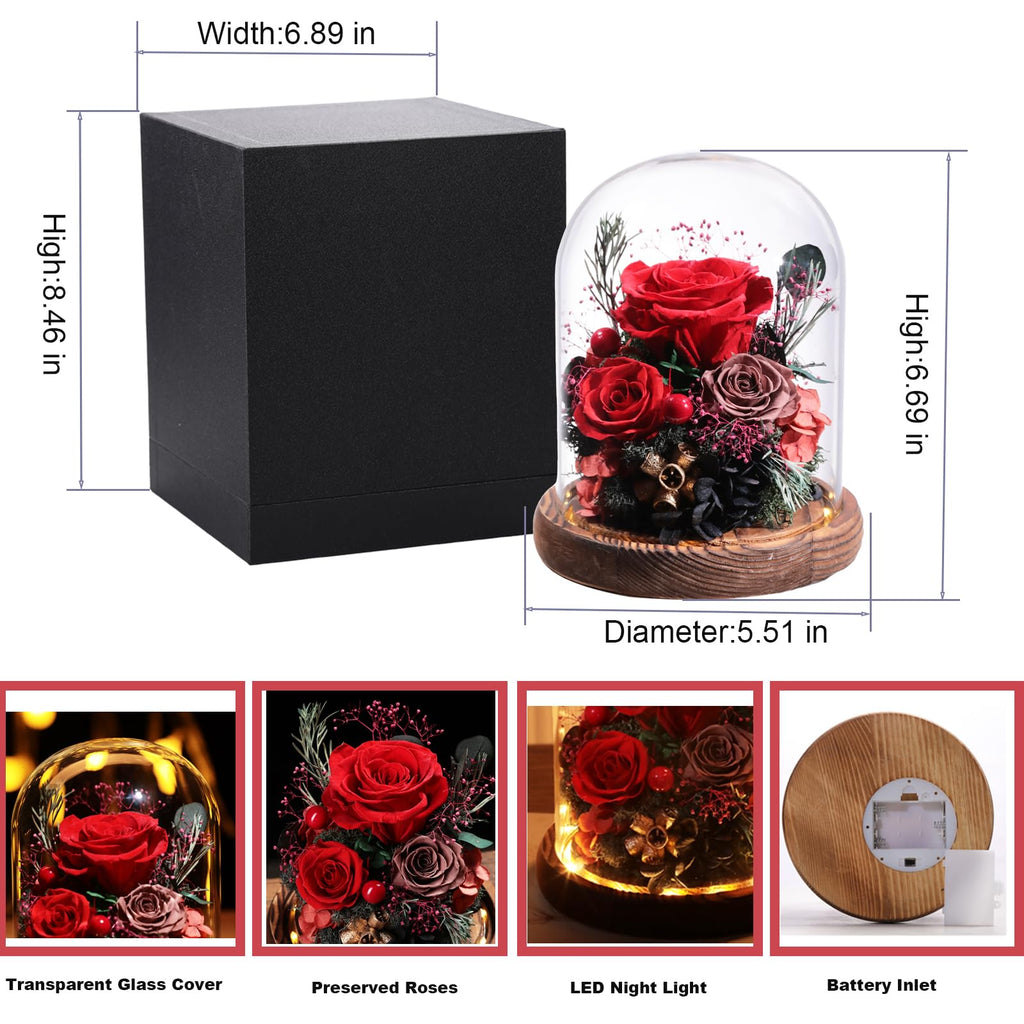 Lovenfold Flowers for Delivery Preserved Rose Gifts for Her,Long-Lasting Forever Flowers in Glass Dome,Birthday Gifts for Women Mom Wife Friend(Red Rose)