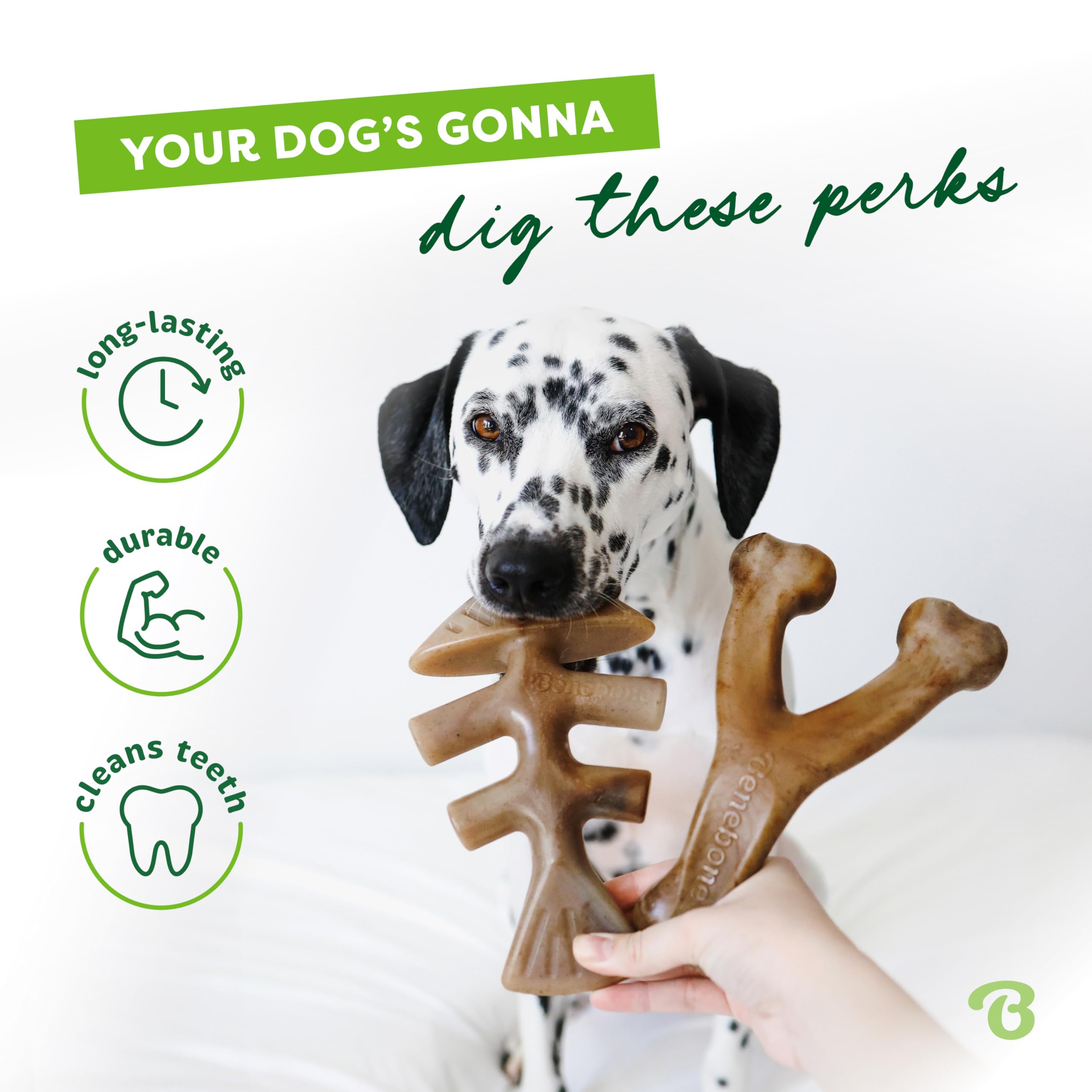 Benebone 2-pack Fishbone/Wishbone Durable Dog Chew Toys, Real Fish, Real Bacon, Made in USA, Small