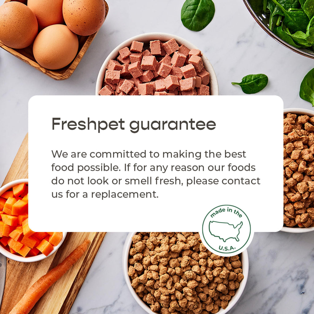 Select Freshpet Chicken & Cat Food, 1 Pound Beef, 16 Ounce