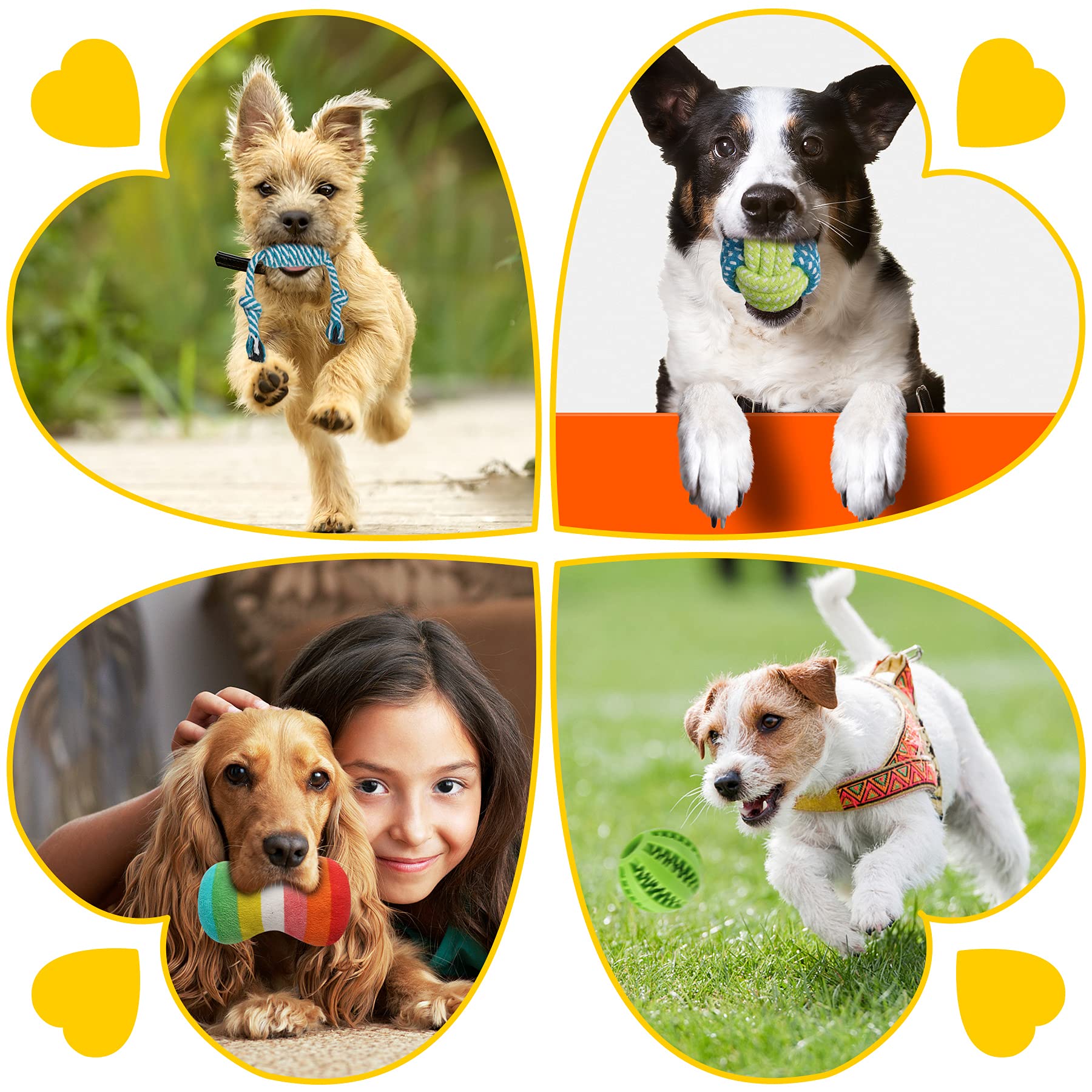 Zeaxuie 25 Pack Luxury Dog Chew Toys for Puppy, Dog Toys with Ropes, Treat Ball and Squeaky Puppy Toys for Teething Small Dogs