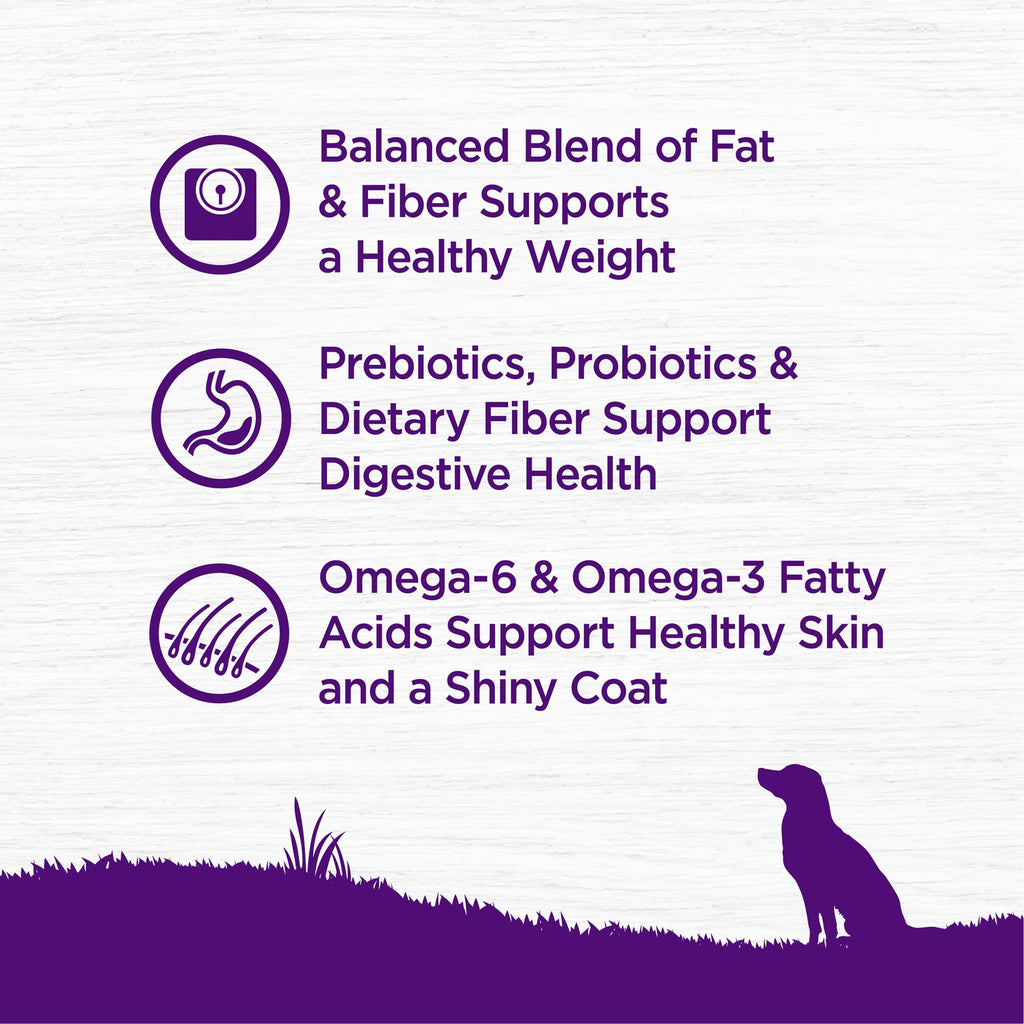 Wellness Complete Health Dry Dog Food, Wholesome Grains, Natural, Healthy Weight Chicken & Peas Recipe, (5-Pound Bag)